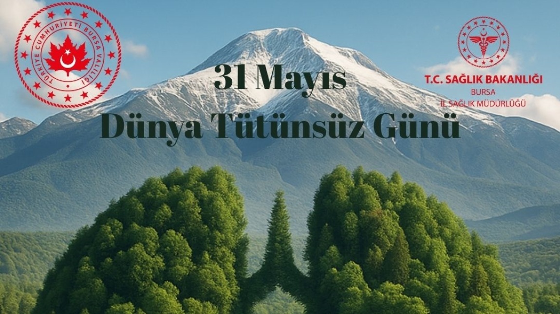 31 Mayıs Dünya Tütünsüz Günü